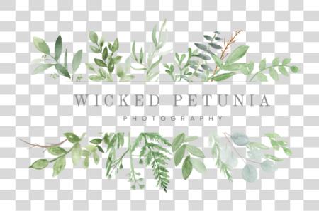 Download 3889 Main Logo 5c54d7a0c3b495 Greenery PNG file