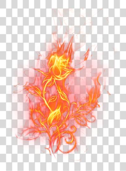 Download Fire Rose Picture Fire Rose PNG file