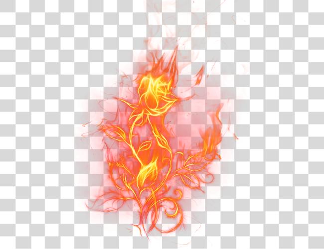 Download Fire Rose Picture Fire Rose Clip Art