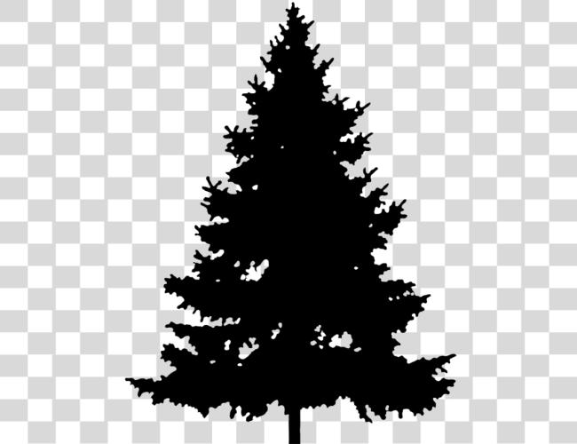 Download Christmas Tree Silhouette Silhouette Pine Tree Clip Art