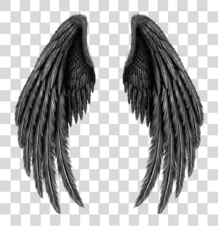 Download Asa Sticker Black Angel Wings PNG file