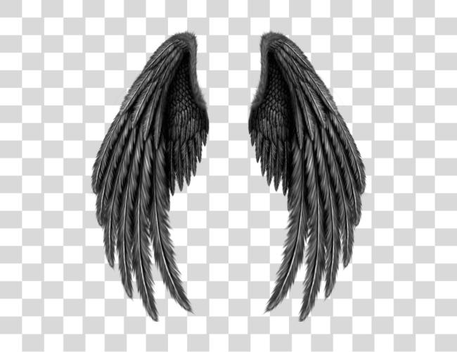 Download Asa Sticker Black Angel Wings Clip Art