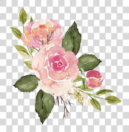 Download Rosas Watercolor Roses PNG file