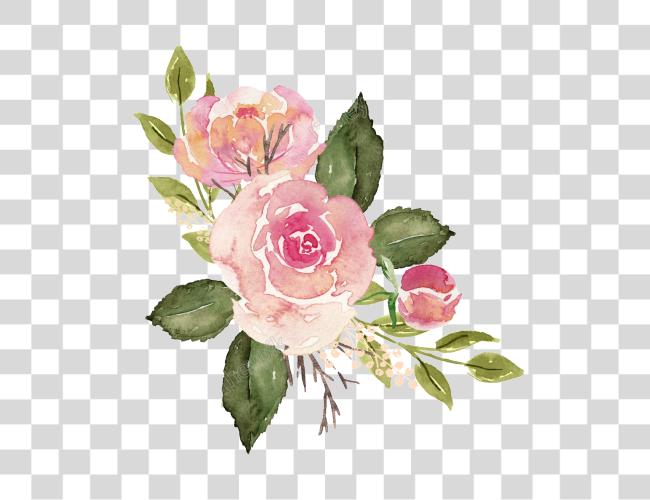 Download Rosas Watercolor Roses Clip Art