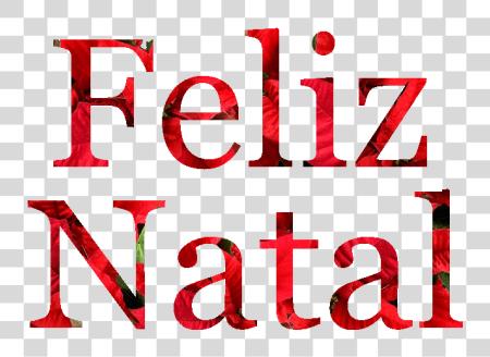 下载 Feliz Natal Em Flores De Natal Colorfulness PNG file