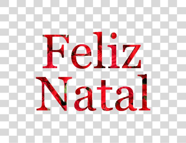 Download Feliz Natal Em Flores De Natal Colorfulness Clip arte