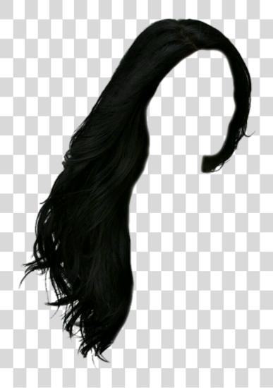 Download Black Long Hair Black Hair PNG file