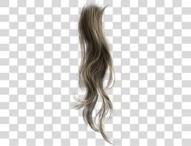 Download Pelucas Pelo Cabello Cabello Acciones Photoshop Clip Art