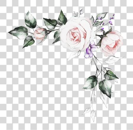 Download Flower Pen Drawing Watercolor Painting PNG file