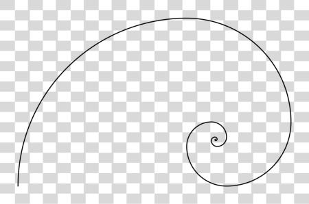 下载 金黄 螺旋 Fibonacci Number 金黄 Ratio 金黄 螺旋 Fibonacci PNG file