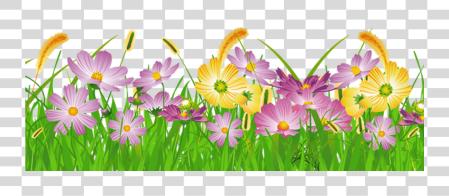 Download Grass Ground With Pink Flowers Gallery Grass Flower PNG file