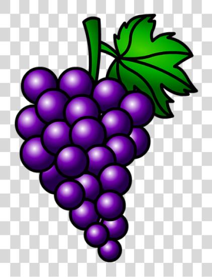 Download Uvas Racimo De Uvas Moradas PNG file