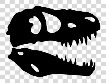 下载 Dinosaur Skull Xray T Rex Skull PNG file