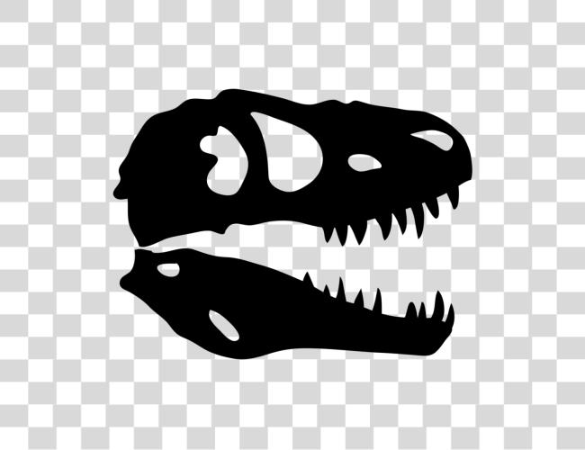 Download Dinosaur Skull Xray T Rex Skull Clip Art