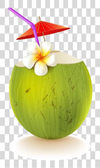 Download Coconut Drink Coconut Drink PNG file