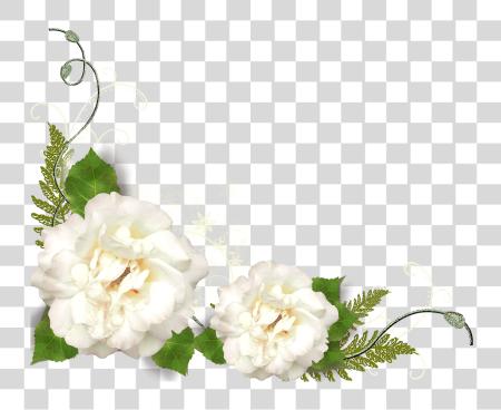 Download blanco flor Corner PNG file