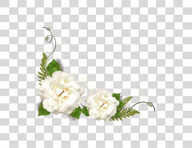 Download White Flower Corner Clip Art