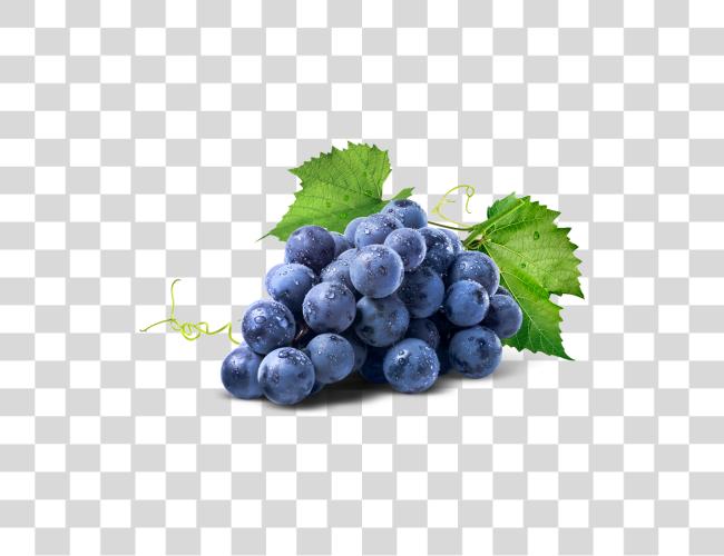 Download Racimo De Uvas Wine Grapes Clip arte