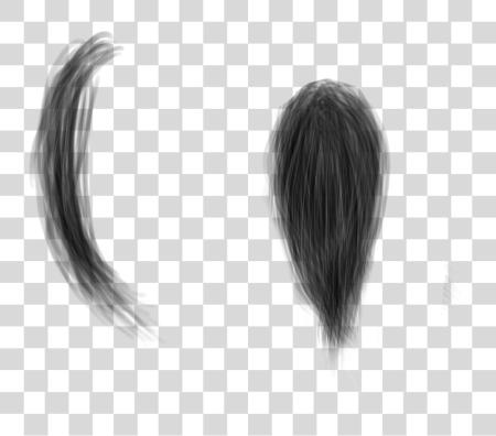 Download Hair Strands Strand Of Hair PNG file