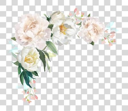 Download Bright floral Border PNG file