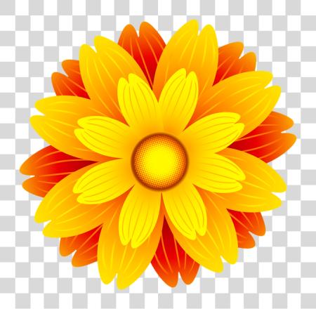 Download Orange Flower Image Flower PNG file