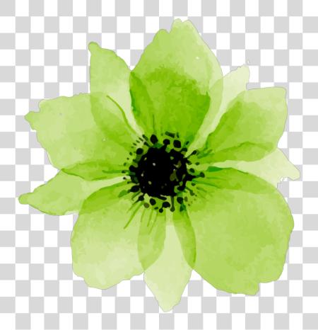 Download verde flor niche estético Watercolour rosa flores PNG file