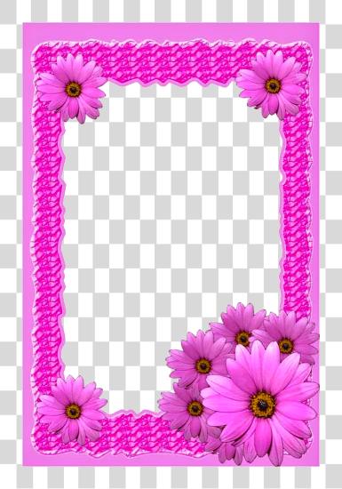 Download Pink flor marco marco PNG file