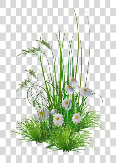 下载 Garden Flowers PNG file