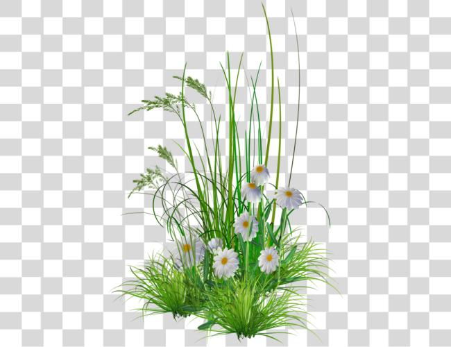 Download Garden Flowers Clip Art