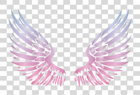 Download wing ángel angels alas angelwings angelwing dorado alas PNG file