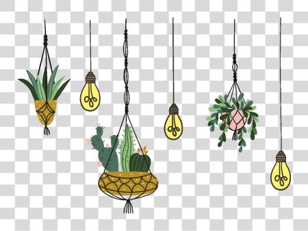 下载 Sticker Fleurs Plantes Suspendues Ambiance Sticker Macrame Plant Hanger PNG file