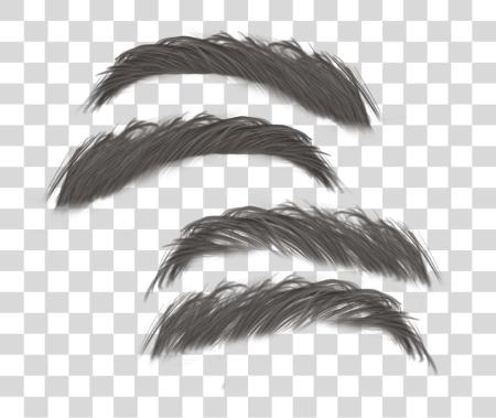 下载 Bushy Eyebrow PNG file