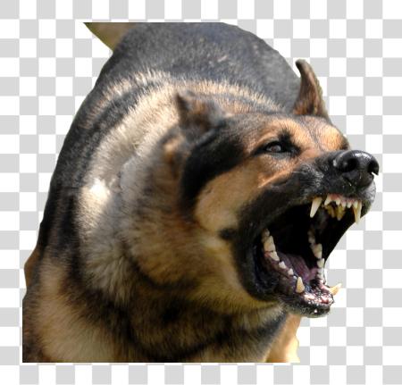 Download Angry Dog With Angry Dog PNG file