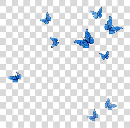 Download mq blue butterfly animal flying fall Swallowtail Butterfly PNG file