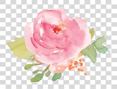 Download Twist Me bonito rosas Pink acuarela PNG file