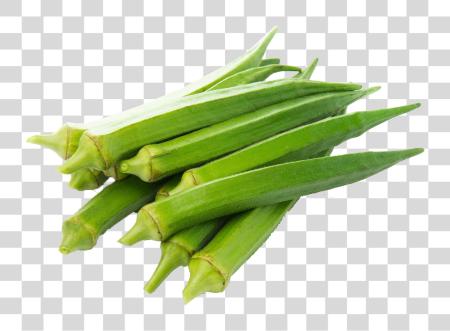 下载 女士 Finger Bhindi Okra PNG file