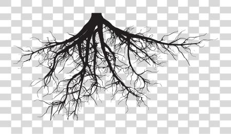 Download Tree Roots Tree Roots Silhouette PNG file