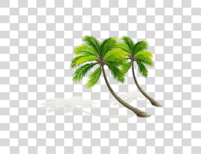 Download Palmera Dibujo Coconut Tree Arvores Tropicais Clip Art