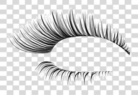 Download Cliparts For Eyelash Fake Eyelashes PNG file