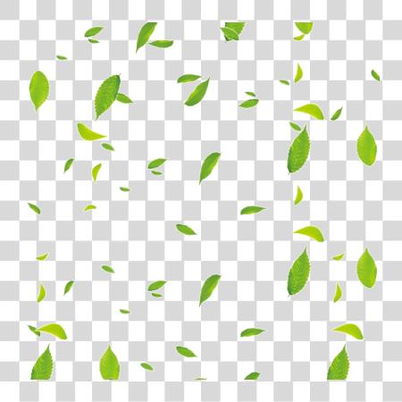 Download Available In Format Floating Leaves PNG file