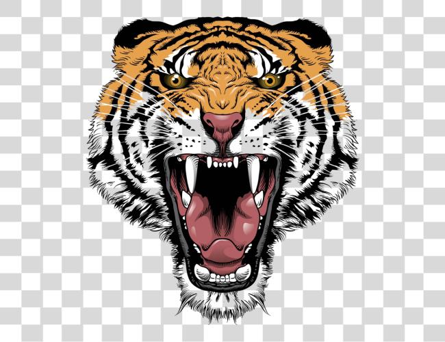 Download Tiger Face front Clip Art