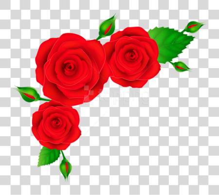 Download rojo rosas Corner Border PNG file