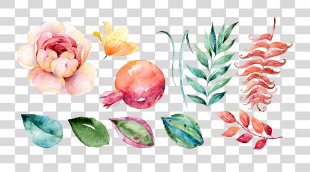 Download Artistic Watercolor Paint Pomegranate Flower Drawing PNG file