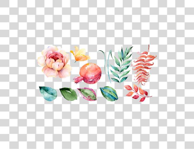 Download Artistic Watercolor Paint Pomegranate Flower Drawing Clip Art