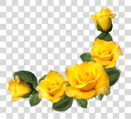 Download Immersion And Distance Aesthetic Yellow Rose Corner Border PNG file