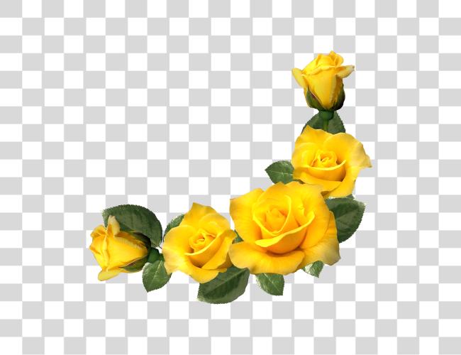 Download Immersion And Distance Aesthetic Yellow Rose Corner Border Clip Art