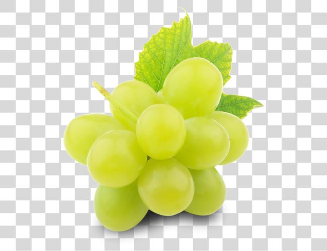 下载 绿色 Grapes Grapes 为了 Export Clip 艺术