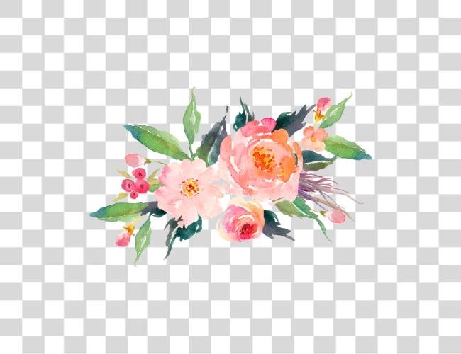 Download original Web 0nly racimo de flores Peach flores rosa Watercolour flores Clip arte