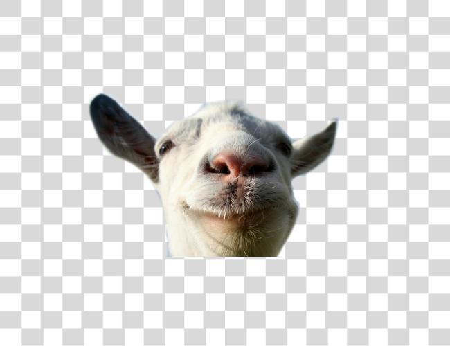 Download Goat Simulator Goat Simulator Clip arte