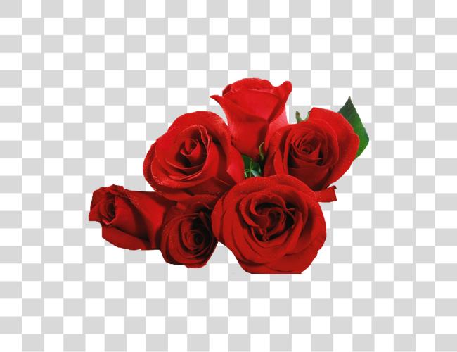 Download Flores Rosas Lacremania Boto De Rosas Vermelhas Clip Art